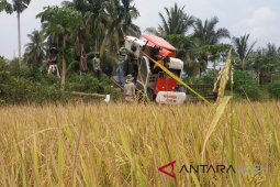 Kades tewas dibacok di Aceh Utara