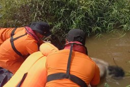 Seorang warga Sintang mengapung di Sungai Kapuas