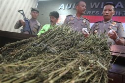 Polisi amankan pengedar ganja