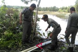 Satpol PP Kabupaten Bangka menertibkan tambang ilegal