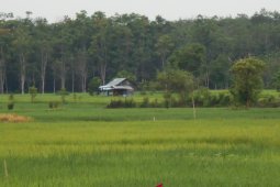 Barito Kuala Tuan Rumah  HPS XXXVIII