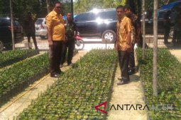 Petani Aceh terpaksa jual bibit bantuan pemerintah