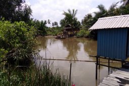 Kadar Keasaman Air Sungai Banjarmasin Meningkat Drastis