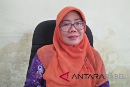 Diskominfotik Bangka serahkan pengendalian menara ke PUPRP