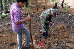 TNI dan kelompok tani tanam perdana kedelai