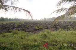 Hujan lenyapkan polusi asap di Singkil
