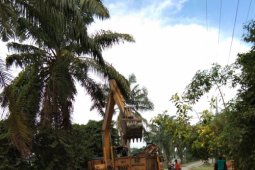 Dinas PKPK terus benahi TPS