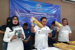 BNNP Jatim Gagalkan Pengiriman 19 Kilogram Ganja ke Bali (Video)