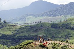 Agrowisata Kebun Teh