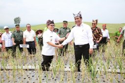 Mentan: Banyuwangi akan jadi Produsen  Bawang Putih Andalan