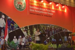 Perekonomian Tabalong tumbuh 3,06 persen