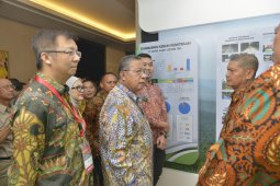 Darmin : Bersama Lawan Kampanye Negatif Sawit
