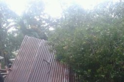Hujan-Angin,  Sejumlah Rumah di Tulungagung Rusak