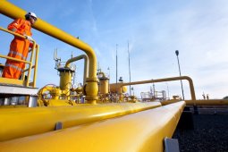 PGN alirkan gas bumi ke JIIPE di Gresik