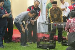 Penghobi Burung Gerakkan Ekonomi Rp1,7 Triliun (Video)