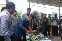 Kompos organik olahan parmalim jadi pilihan petani