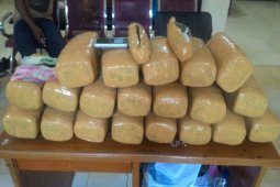 Polisi Langkat ringkus pembawa 20 kilogram ganja