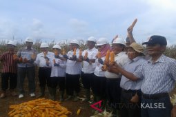 Kalsel Masuk Sentral Pangan Nasional