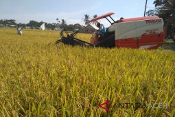 Aceh Barat kerahkan alsintan bantu petani