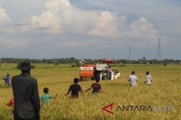 Petani Aceh Barat tertarik gunakan Alsintan