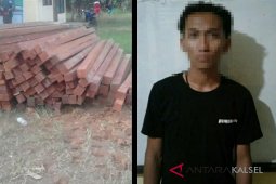 Polisi Tangkap tersangka Pembawa Kayu Ilegal