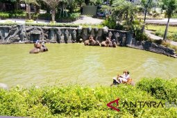 Libur Paskah, kunjungan di Bali Zoo melonjak