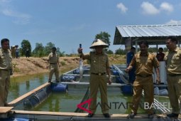 Bukit Kijang jadi sentra budi daya ikan
