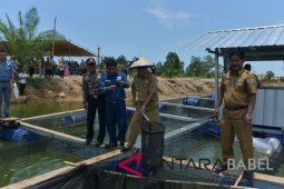 Bupati Bangka Tengah ajak pembudidaya manfaatkan "kolong"