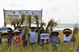 Gunakan Pupuk Organik