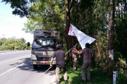 Satpol PP Magetan Tertibkan Ratusan Reklame