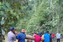 Jalan Peramasan-Muara Uri Kotabaru Kembali Bisa Dilewati