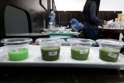 Yuk cicipi puding torbangun buatan mahasiswa IPB