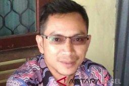 KPAD Babel terima 12 kasus anak