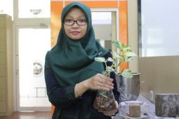 Dosen UISI Kembangkan Inovasi "Geopolimer"