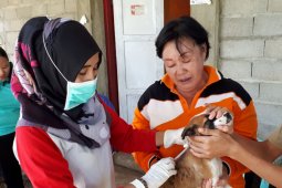 Realisasi pemberian obat anticacing di Mukomuko mencapai target