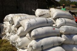 Petani Probolinggo Beramai-Ramai Jual Garamnya akibat Rencana Impor Garam