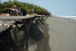 Pantai Cemara abrasi 25 meter per tahun