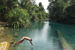 Tanah Papua berhutan adat terluas di Indonesia (video)