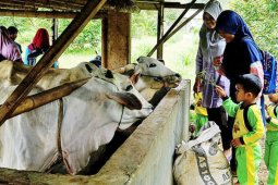 Daya Tarik Wisata Baru Banyumas Bernama Agrowisata Bulak Barokah