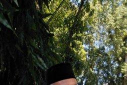 Realisasi pajak hotel ditargetkan 18 persen