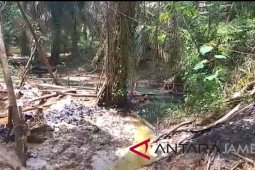 Minyak mentah berbahaya bagi kesehatan