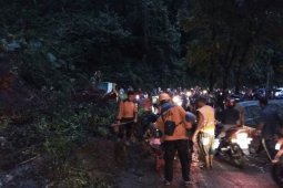 Longsor di Gunung Gumitir, Arus Kendaraan Macet Total