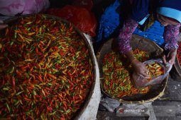 Harga Cabai Rawit di Madiun Masih Tinggi