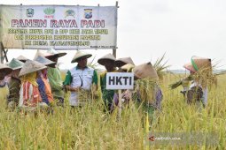 HKTI Ajak Petani Gunakan Pupuk Organik