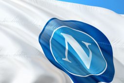 Hamsik Segera Hengkang dari Napoli