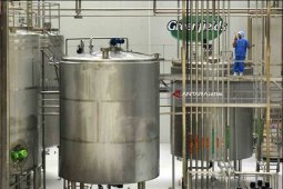PT Greenfields Indonesia Bangun Industri Olahan Susu di Blitar