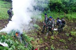 Kodam 1 BB musnahkan 1,5 ladang ganja
