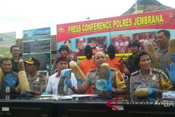 Bawa ganja 12 kilogram, pengedar ditangkap di Pelabuhan Gilimanuk