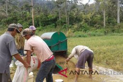 Farm work continues in Central Sulawesi despite COVID-19 pandemic