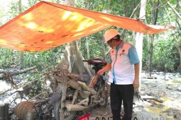 Oknum penambang minyak ilegal rambah kawasan tahura